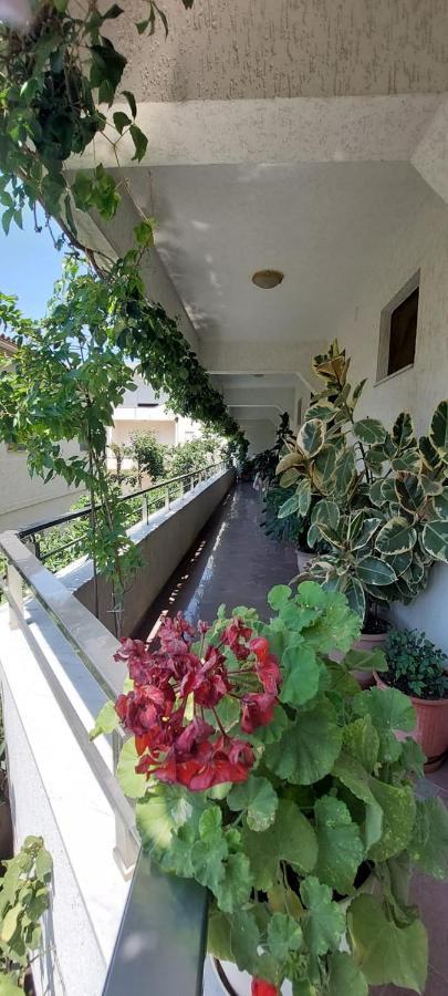 Villa Madani Durrës Exteriér fotografie